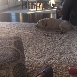 Meet your Posher, Kim